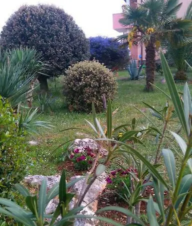 Iva 2 Apartament *
